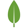 MongoDB